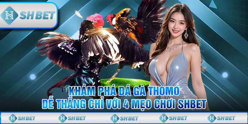 đá gà thomo