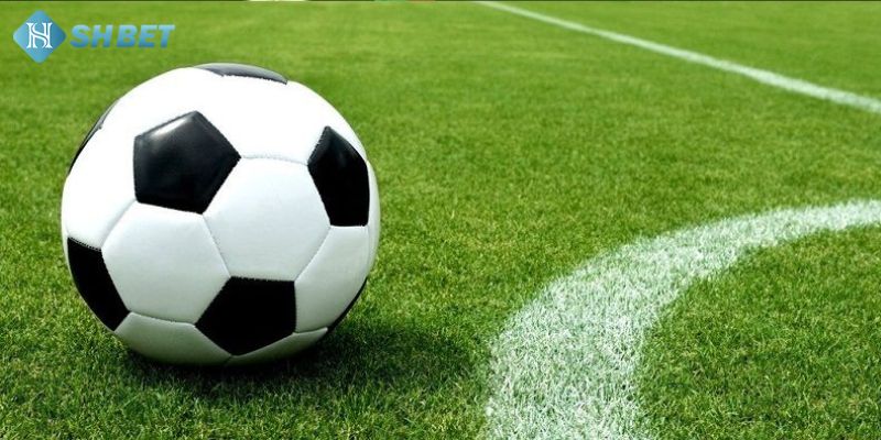 Sử dụng bảng kèo nhà cái khi chơi