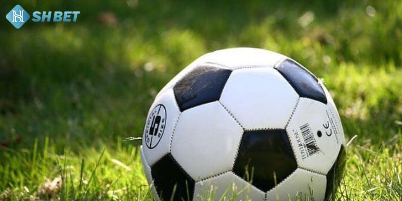 Tìm kiếm thông tin trận đấu 