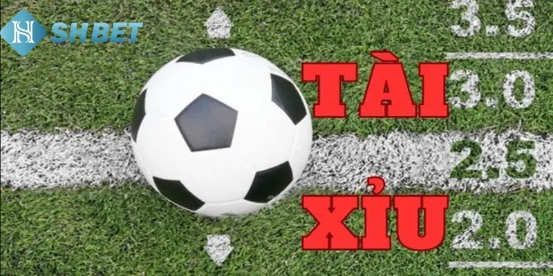 Làm thế nào để nắm được cách đọc kèo tài xỉu chuẩn?