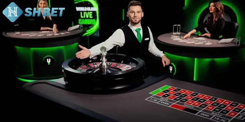 Lý do nên cá cược tại live casino SHBET