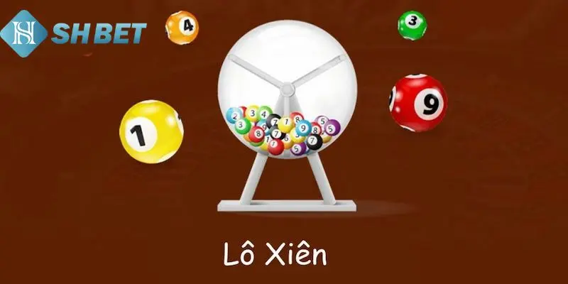 Người chơi cần để ý vài thông tin trong quá trình cược 