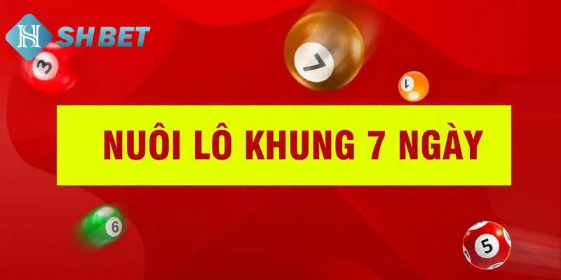 Tổng hợp vài mẹo soi cầu lô 7 ngày 