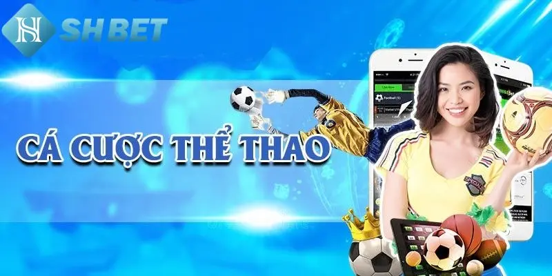 Top bộ môn cá cược hot nhất 