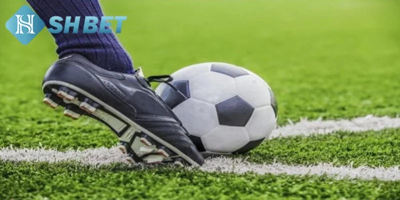 Hiểu rõ cách đọc kèo thể thao sẽ giúp người chơi đưa ra quyết định