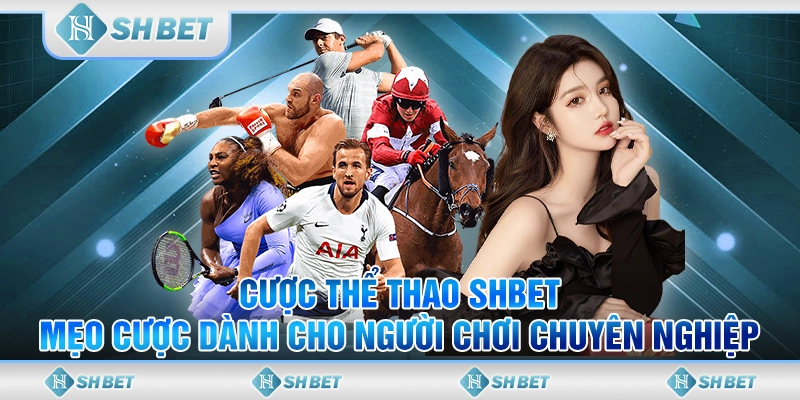 Cược thể thao SHBET