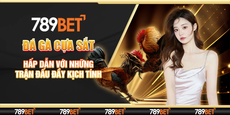 Đá Gà Cựa Sắt - Hấp Dẫn Với Những Trận Đấu Đầy Kịch Tính