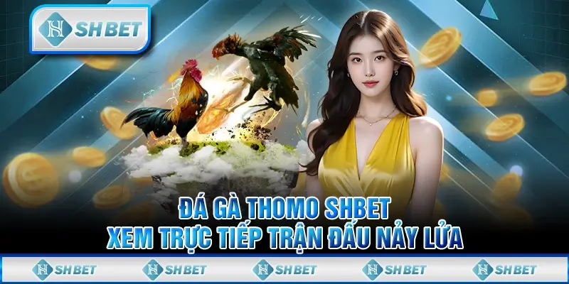 Đá Gà Thomo SHBET - Xem Trực Tiếp Trận Đấu Nảy Lửa