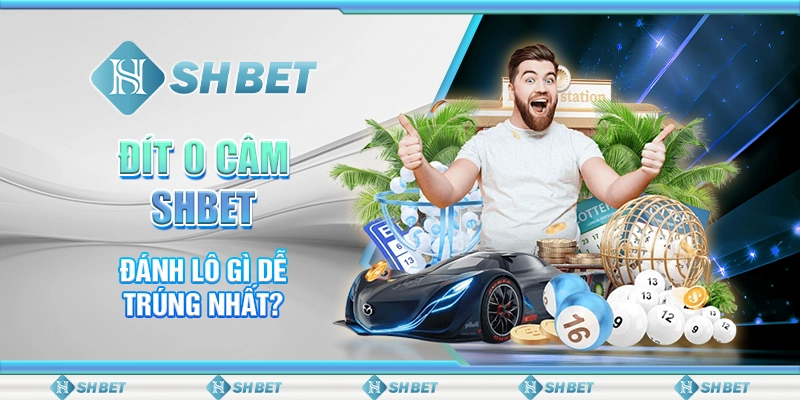 Đít 0 Câm Đánh Lô Gì Dễ Trúng Nhất Tại SHBET?