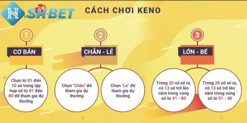Hướng dẫn nuôi dãy số cơ bản tại SHBET