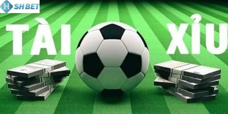 Những lưu ý quan trọng khi chơi tài xỉu 