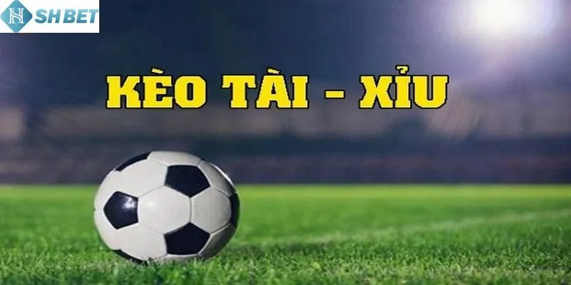 Mẹo hay chơi tài xỉu từ cao thủ