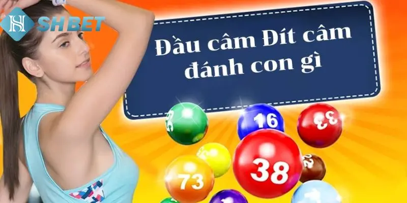 Khái niệm đít 0 câm đánh lô gì