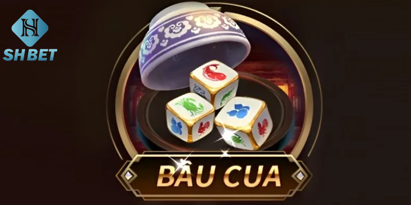 Lưu ý khi chơi Bầu Cua cần nắm
