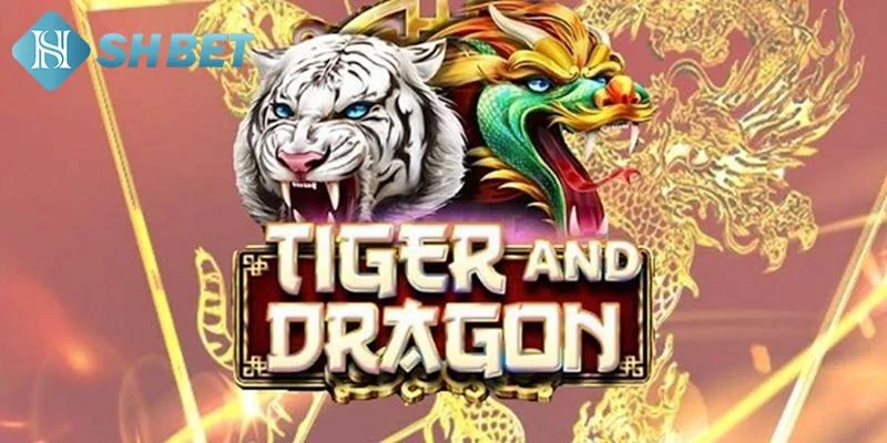 Rồng hổ hành bài có cách chơi cực kỳ dễ hiểu