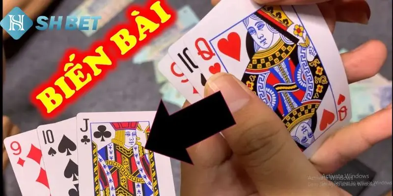 Tips chia bài hiệu quả ăn lớn