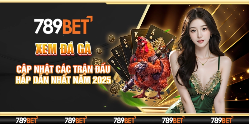 Xem Đá Gà - Cập Nhật Các Trận Đấu Hấp Dẫn Nhất Năm 2025