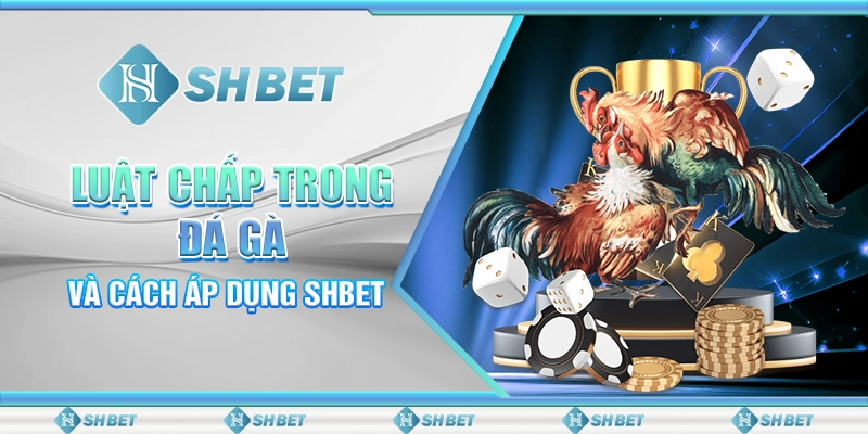 Luật Chấp Trong Đá Gà Và Cách Áp Dụng SHBET