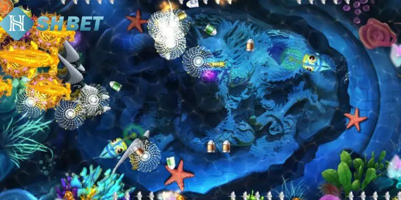 Cách thức săn cá phá hũ 