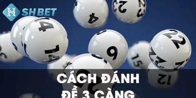 Mọi người nên cược 3 càng đề