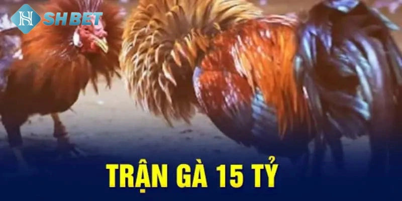 Điểm nổi bật khi theo dõi quá trình thi đấu 