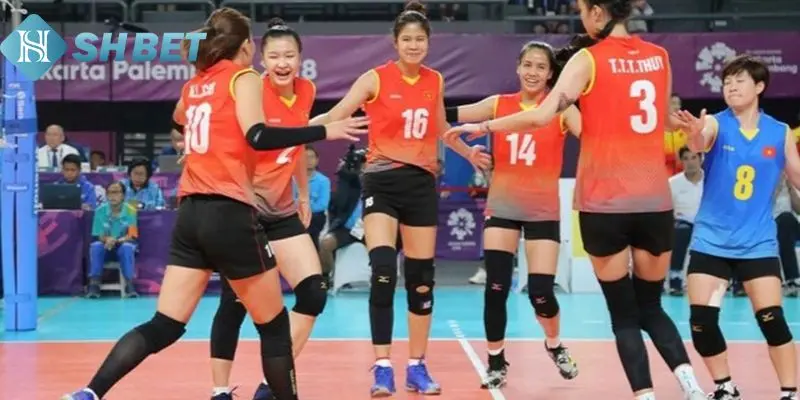 Bí kíp soi kèo bóng chuyền cơ bản