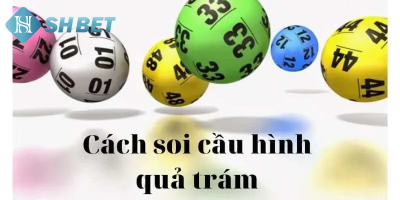 Cao thủ khuyên người chơi nên dùng quả trám 