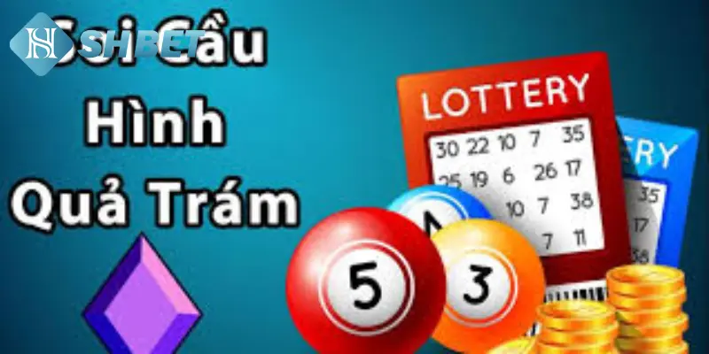 Giới thiệu về phương pháp soi cầu quả trám