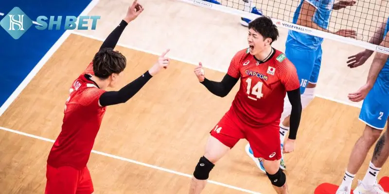 Kèo bóng chuyền là gì?