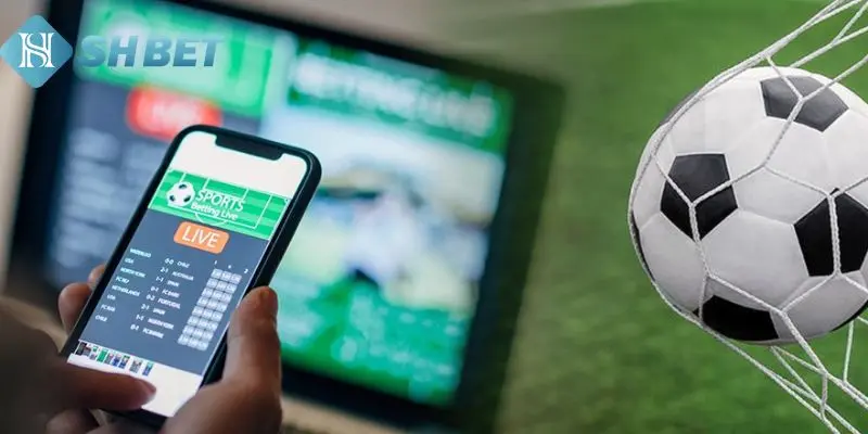 Tìm hiểu nội dung về diễn đàn cá độ bóng đá 