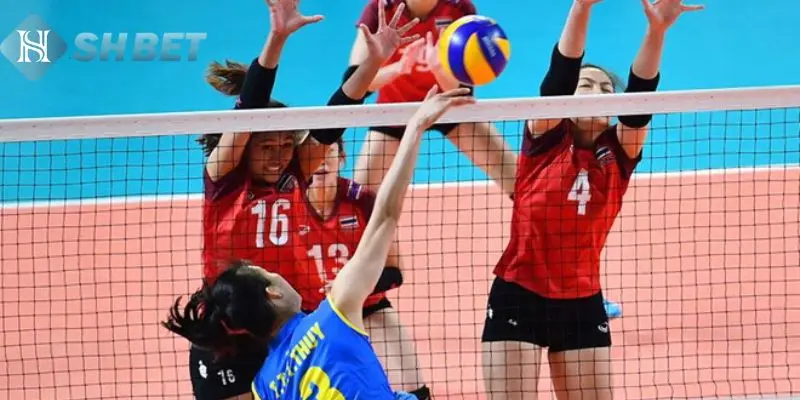 Thể loại kèo cược trong bóng chuyền