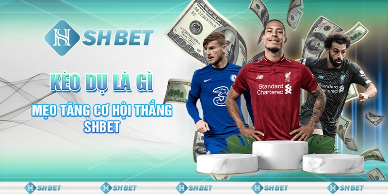 Kèo Dụ Là Gì - Mẹo Tăng Cơ Hội Thắng Shbet