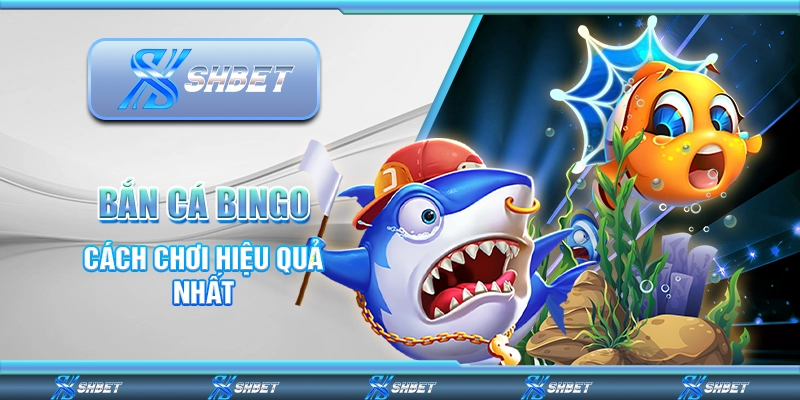 Bắn Cá Bingo - Cách Chơi Hiệu Quả Nhất Tại SHBET 