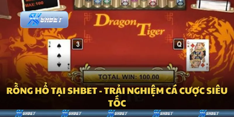 Rồng Hổ tại Shbet - Trải nghiệm cá cược siêu tốc