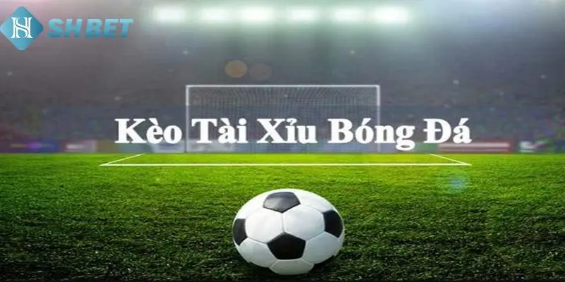 Điều cần biết khi soi cầu tài xỉu