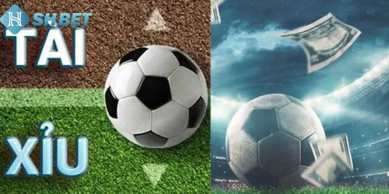 Giới thiệu một số điều cần biết về tài xỉu bóng đá