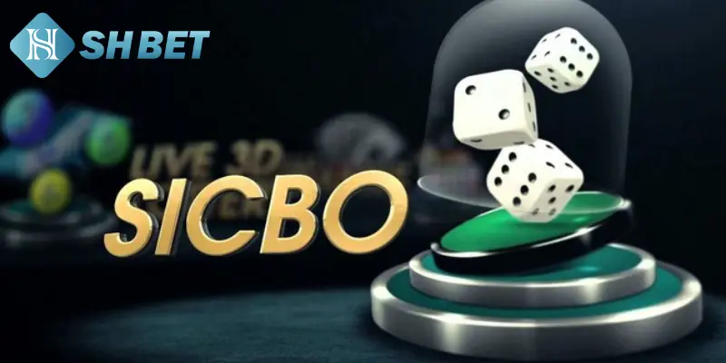 Tìm hiểu chi tiết về từng biến thể sicbo