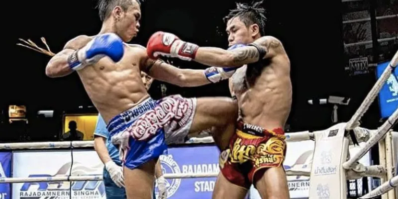 Những hình thức cá cược boxing thường gặp nhất