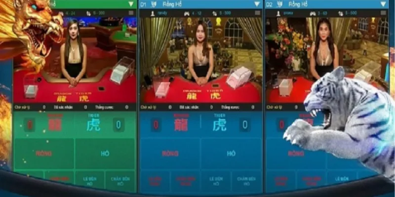 Hướng dẫn cách đặt cược rồng hổ để giành chiến thắng