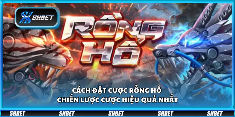 Cách đặt cược rồng hổ – Chiến lược cược hiệu quả nhất