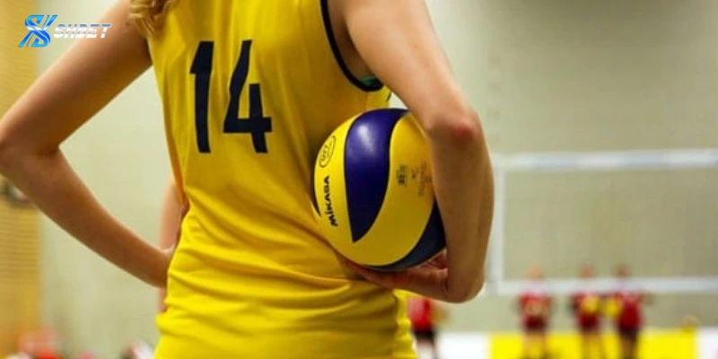 Một số giải đấu bóng chuyền nổi bật có thể đặt cược tại Shbet