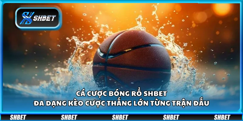 Cá cược bóng rổ Shbet – Đa dạng kèo cược thắng lớn từng trận đấu