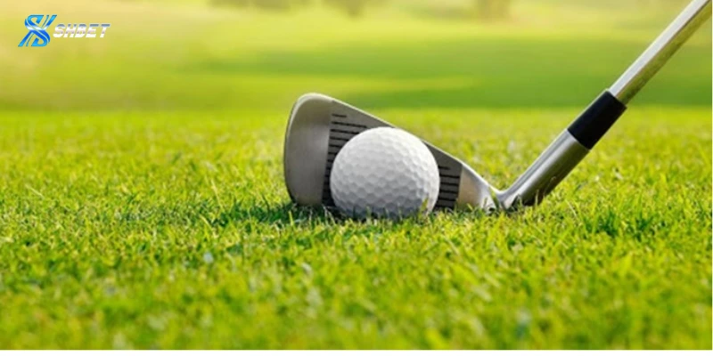 Các thông tin về cá cược golf Shbet