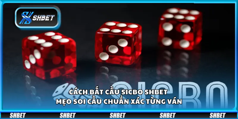 Cách bắt cầu Sicbo Shbet – Mẹo soi cầu chuẩn xác từng ván