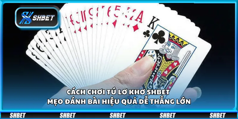 Cách chơi tú lơ khơ Shbet - Mẹo đánh bài hiệu quả dễ thắng lớn