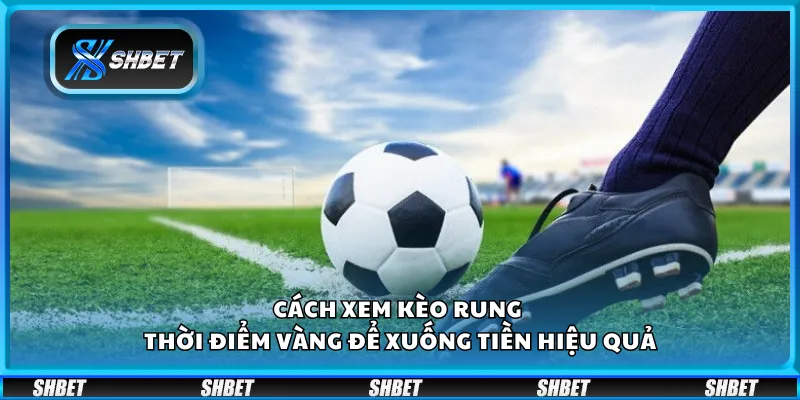 Cách xem kèo rung – Thời điểm vàng để xuống tiền hiệu quả