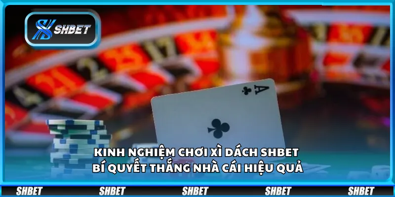Kinh nghiệm chơi Xì Dách Shbet – Bí quyết thắng nhà cái hiệu quả