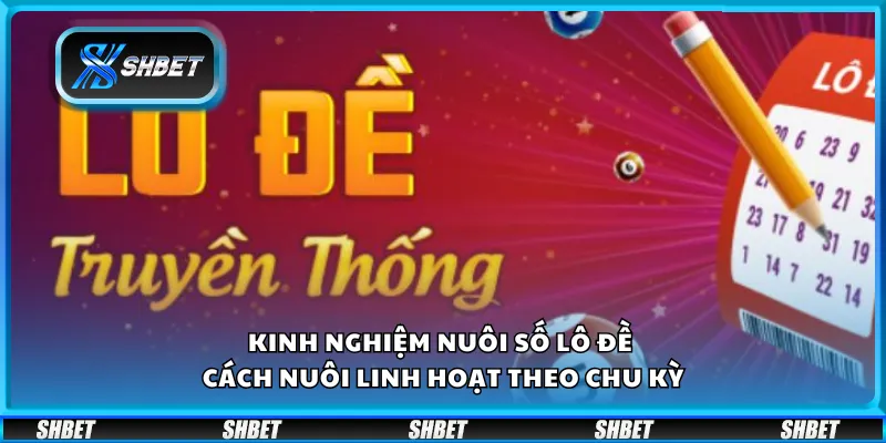 Kinh nghiệm nuôi số lô đề – Cách nuôi linh hoạt theo chu kỳ