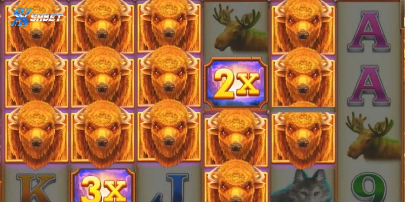 Top tips chơi Slot Charge Buffalo nhanh thắng